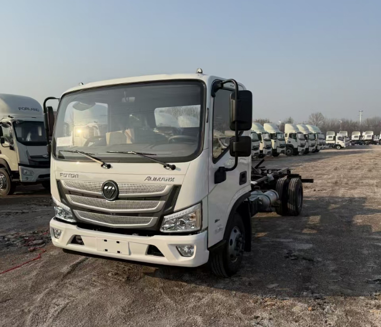 Foton 12 Tons Hooklift Truck